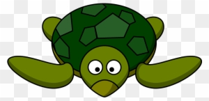Turtle Animation Cartoon Clip Art - Turtle Cartoon Gif Png
