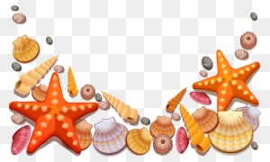Sea Shells Decor Png Vector Clipart - Sea Shells Shower Curtain