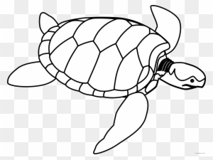 Turtle Outline Animal Free Black White Clipart Images - Life Cycle Of A Turtle Color