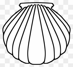 Shell Clipart Pilgrim - Baptismal Shell Clip Art - Free Transparent PNG  Clipart Images Download