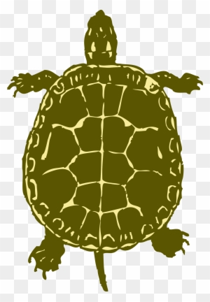 Sea Turtle Clipart Snapping Turtle - Turtle Bird Eye View