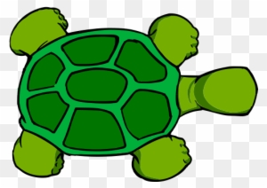 Cartoon Turtle Top View