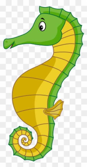 Clipart Denizatı - Northern Seahorse