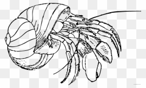 Hermit Crab Animal Free Black White Clipart Images - Hermit Crab Coloring Pages
