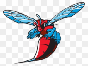 Men's Track & Field - Delaware State University Hornets Logo