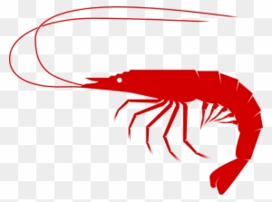 Sea Food Clip Art