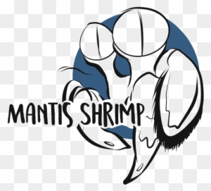 Mantis Shrimp Drawing - Mantis Shrimp