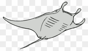 Devil Ray Clipart - Ocean Animals Coloring Pages