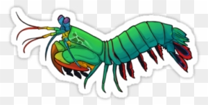 Design A Mantis Shrimp Mascot Logo - Cartoon Peacock Mantis Shrimp