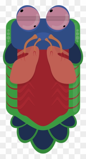 Animal[animal] [artwork Only] Mantis Shrimp - Deeeep Io Mantis Shrimp