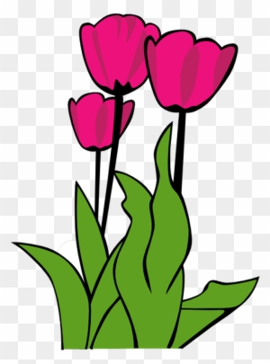 Free Spring Clip Art For All Your Projects - Tulip Clip Art