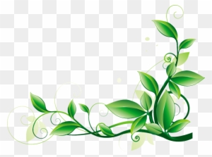 Цветочный Орнамент Желто Зеленый Вытянутый - Green Flower Border Png