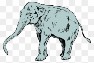 Download Elephant Trunk Clipart Transparent Png Clipart Images Free Download Clipartmax