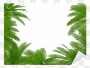 Palm Trees Und Hibiscus Flowers Frame Sticker • Pixers® - Cornice Palme