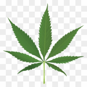 Pot Leaf Clipart No Background - Cannabis Leaf