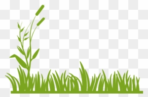Flip Flop Clip Art At Clker Com Vector Clip Art Online - Green Grass Clipart