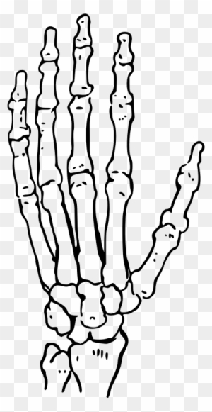 Medium Image - Skeleton Hand Clip Art