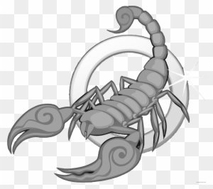 Scorpion Animal Free Black White Clipart Images Clipartblack - Zodiac Astrological Sign Scorpio Scorpion 10/23
