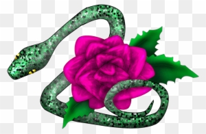 The Snake And The Rose By Sybilthorn - Boa