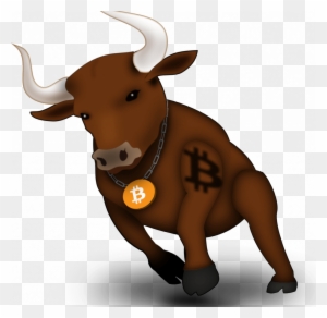 Can I Buy Bitcoin Stock - Bull Run Bitcoin