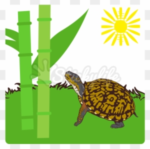 Eastern Box Turtle Decal - My Spirit Animal Turtle Tan Adult T-shirt Beige