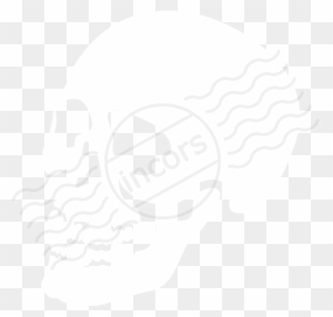 Skull Icon - Skull Transparent Icon White