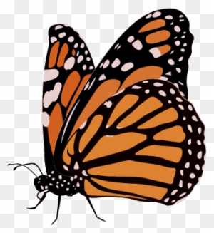 Monarch Butterfly Clipart 23, Buy Clip Art - Life Cycle Of A Butterfly