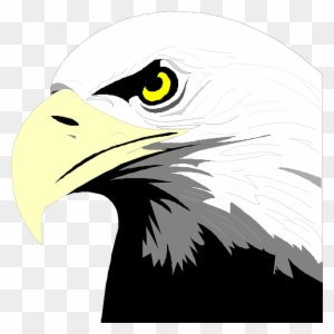 Head, Eyes, Eagle, Bird, Bald, Art, Beak, Feathers - Bald Eagle Head Clip Art