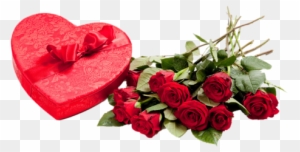 Gifts And Flowers Red Roses - Valentine Day Gift For Girlfriend