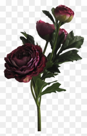 Garden Roses Floral Design Portable Network Graphics - Aesthetic Flower Png
