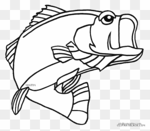 Bass Fish Animal Free Black White Clipart Images Clipartblack - Largemouth Bass Coloring Page