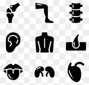 Human Body Solid - Body Parts Icons Png