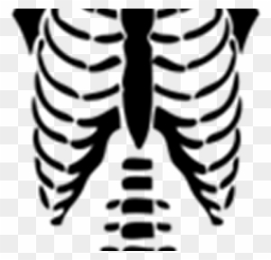 Beautiful Rib Cage Cartoon Skeleton Torso Halloween Png T Shirts For Roblox Free Transparent Png Clipart Images Download - roblox t shirt halloween png