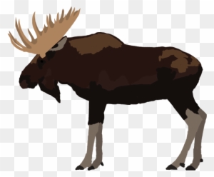 Moose Alaskan By Paleop On Deviantart Rh Paleop Deviantart - Alaskan Animals Png