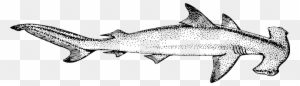 Onlinelabels - Clip Art Hammerhead Shark