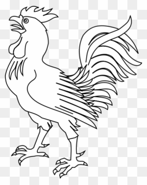 Fighting Rooster Coloring Pages ديك للتلوين Free Transparent Png Clipart Images Download Fighting Rooster Coloring Pages ديك للتلوين Free Transparent Png Clipart Images Download