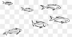 Clipart School Of Fish Rh Openclipart Org School Of - School Of Fish Drawing