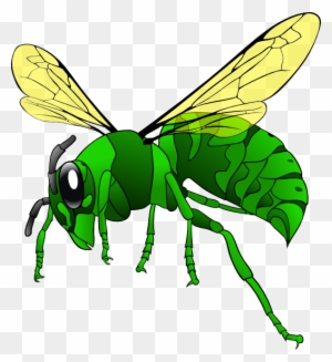 Green Hornet Png