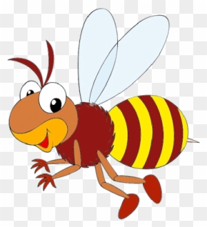Clip Art - Life Cycle Of A Honey Bee