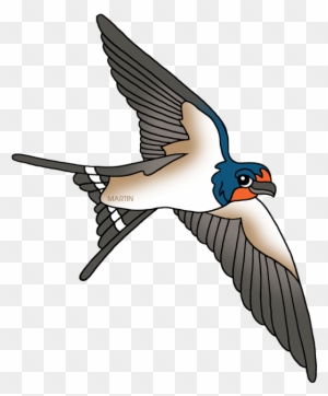 Barn Swallow - Free Transparent Clipart Swallow