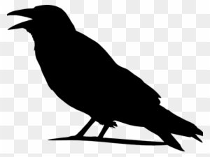 Crow Clip Art At Clker Com Vector Clip Art Online Royalty - Outline Images Of Crow