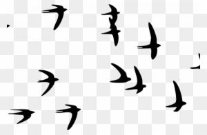 Flying Bird Png Image - Transparent Flying Bird Png