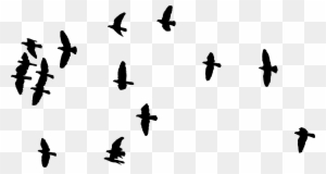 Flock Of Flying Birds Silhouette - Flock Of Birds Pdf