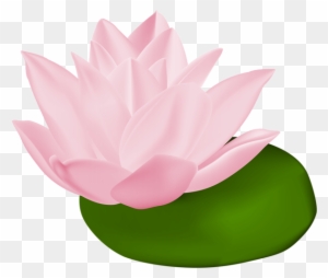 Pink Water Lily Transparent Png Clip Art Image - Water Lily Pads Transparent