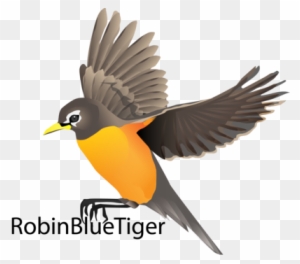 Robin Bird Meeeeee By Brainspewage On Deviantart - Robin Bird Flying Drawing