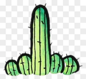 Cacti Cactus Tumblr Green Black Colour Fucktus Cactusfl - Cactus Tumblr Png