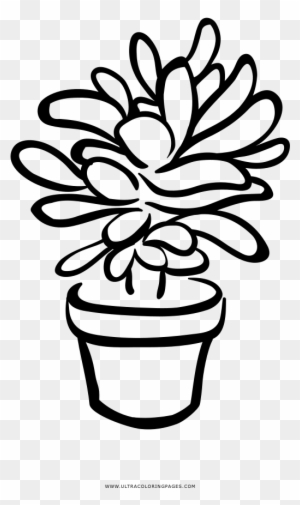 Succulent Clip Art, Transparent PNG Clipart Images Free Download ...