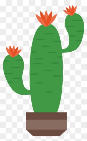 Cactaceae Artworks Illustration - Flowering Cactus Clipart Png