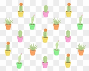 Png Cactus Tumblr - Cactus Colorful Patterns