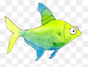 X = X-ray Fish - Ray-finned Fish